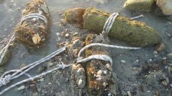 An Israeli police handout photograph shows what a police spokesperson says are World War One artillery shells discovered in the Sea of Galilee in Tiberias, Israel, made avaliable by Israeli police