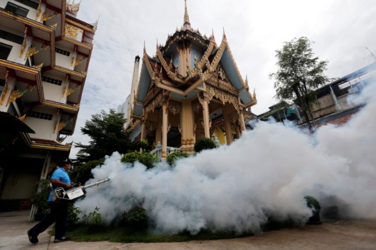 Thailand confirms first Zikalinked microcephaly in Southeast Asia