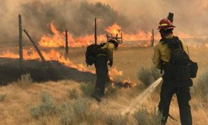 Wildland Firefighters battle the Bridge Coulee Fire, part of the Lodgepole Complex, east of the Musselshell River, north of Mosby, Montana, U.S. July 21, 2017. Bureau of Land Management/Jonathan Moor/Handout via REUTERS