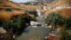 Sewage flows in Kidron Valley, on the outskirts of Jerusalem July 6, 2017. Picture taken July 6, 2017.