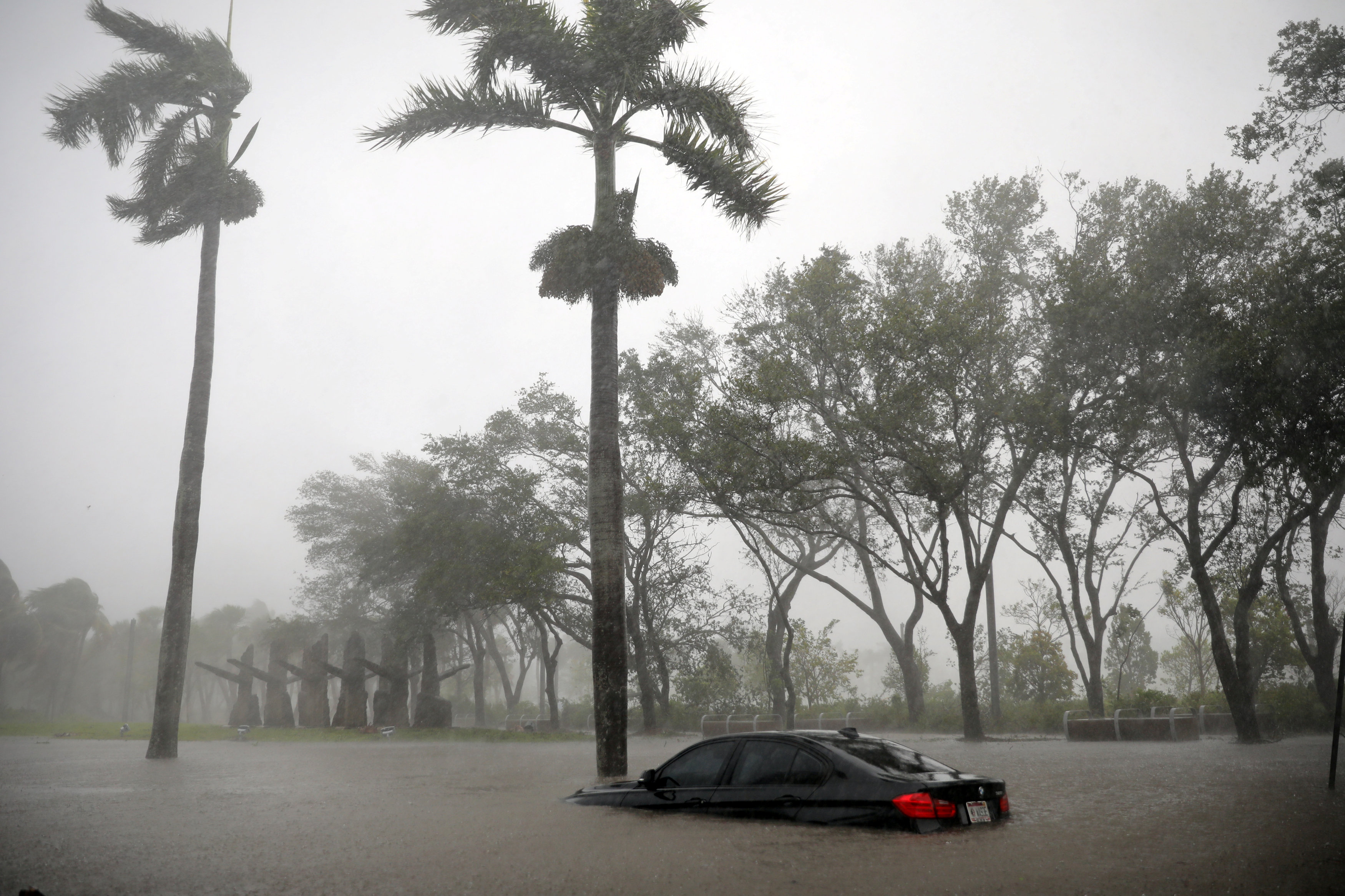 A partially submerged car is seen at a flooded area in Coconut Grove as Hurricane Irma arrives at south Florida, in Miami, Florida, U.S., September 10, 2017.