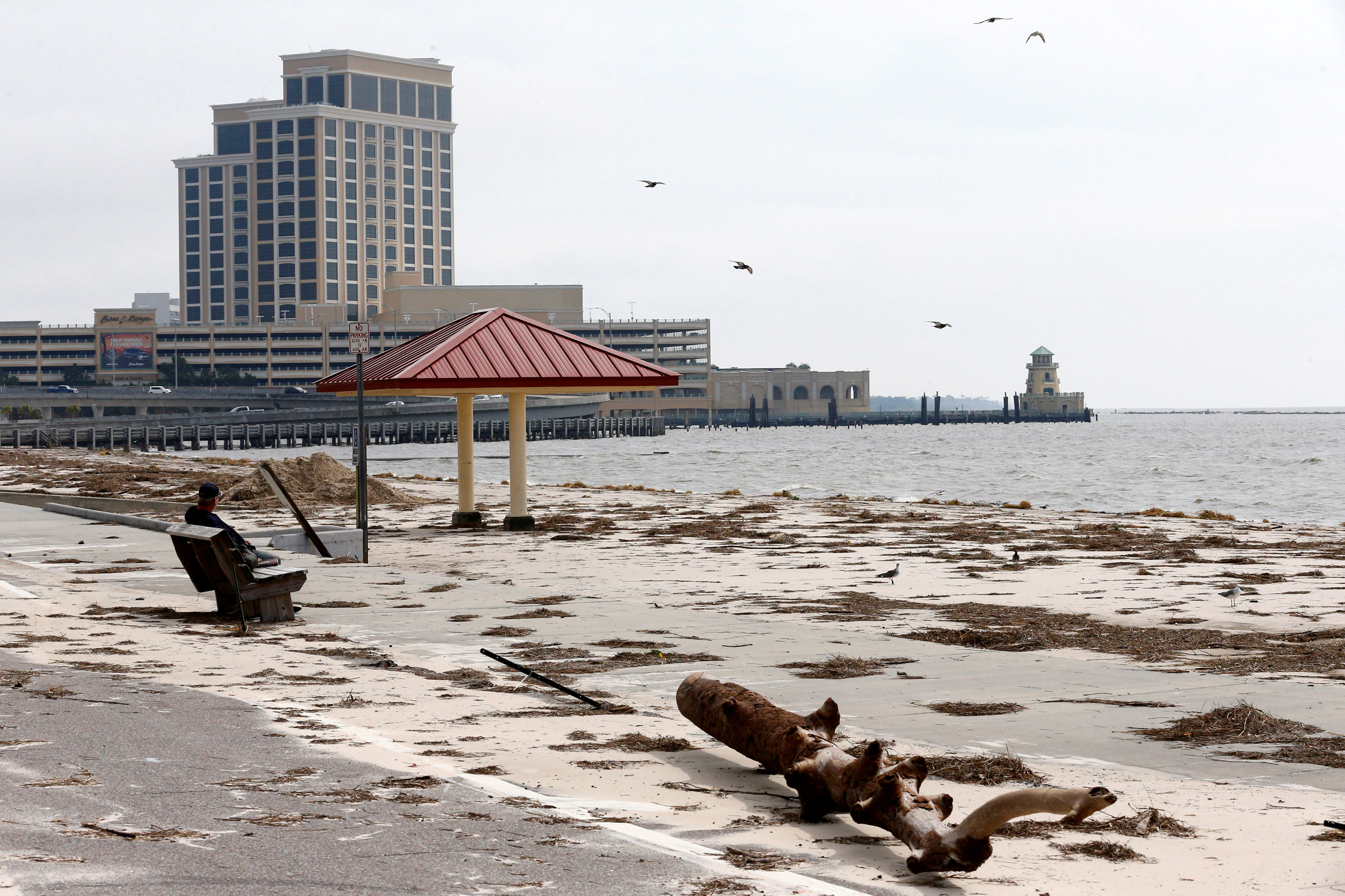 A man sits on a bench overlooking a beach covered in debris scattered by Hurricane Nate, in Biloxi, Mississippi, U.S.,