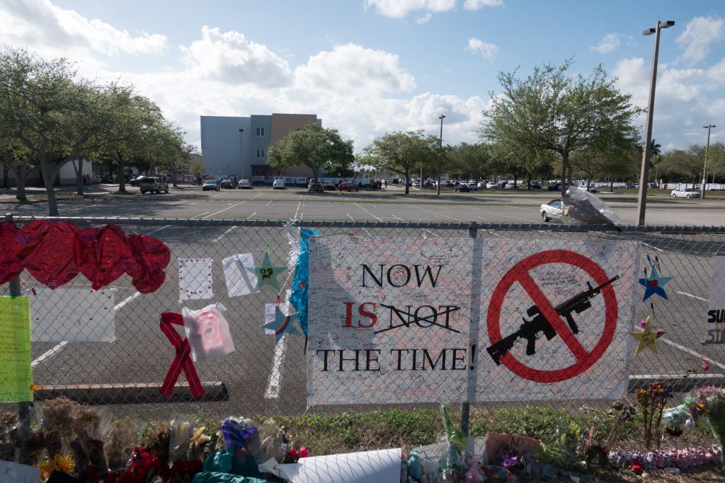 What's in play in Washington on gun rights after Florida school shooting