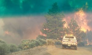 FILE PHOTO: Flames rise from a treeline near an emergency vehicle during efforts to contain the Spring Creek Fire in Costilla County, Colorado, U.S. June 27, 2018. Costilla County Sheriff's Office/Handout via REUTERS/File Photo