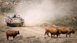 An Israeli soldier rides an armoured vehicle during an army drill after the visit of Israeli Defence Minister Avigdor Lieberman in the Israeli-occupied Golan Heights, Israel August 7, 2018. REUTERS/Amir Cohe