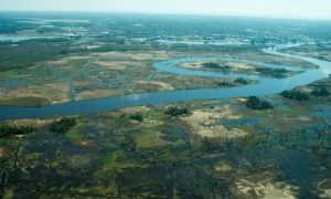 Flooding is seen in and around Wilmington, North Carolina, U.S., September 19, 2018 in this picture obtained from social media on September 21, 2018. ALAN CRADICK, CAPE FEAR RIVER WATCH/via REUTERS