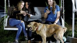 Israeli teens, Meshy Elmkies (R), 16, Liam Yefet (C), 16 and Lee Cohen, 17, co-managers of Instagram account, Otef.Gaza, look at their mobile phones as they sit on a swing at Kibbutz Kerem Shalom which borders the Gaza Strip, in southern Israel November 11, 2018. Picture taken November 11, 2018. REUTERS/Amir Cohen