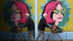 Economy Grocery Cart