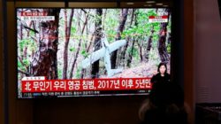 North Korean Drones