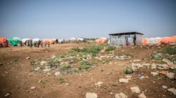 Somalia Famine