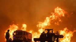 Forest Fire Portugal