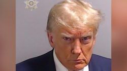 Trump mugshot