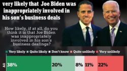 Joe-in-Hunters-corruption