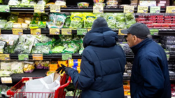 Brooklyn-Grocery-Store