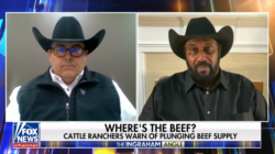 Where's the Beef?