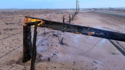 Burned-pole-Smokehouse-Creek-fire