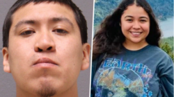 Illegal-kills-Michigan-woman