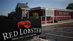 Red-Lobster-closing