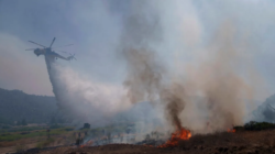Post-Fire-Lebec-California